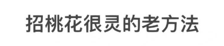 麦玲玲：甲辰年2024年属鼠人的全年运势完整版_属鼠人2024年每月运势及运程详解